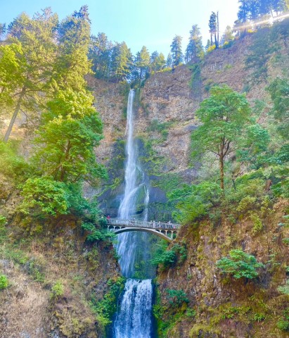 multnomah falls